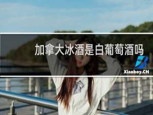 加拿大冰酒是白葡萄酒吗