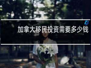加拿大移民投资需要多少钱