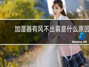 加湿器有风不出雾是什么原因