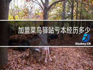 加盟菜鸟驿站亏本经历多少
