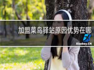 加盟菜鸟驿站原因优势在哪