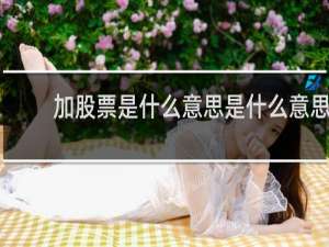 加股票是什么意思是什么意思