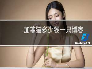 加菲猫多少钱一只博客