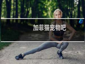 加菲猫宠物吧