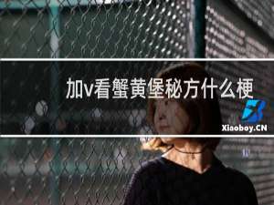 加v看蟹黄堡秘方什么梗