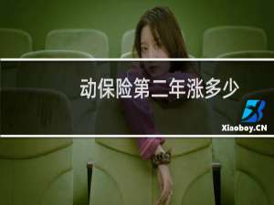 动保险第二年涨多少