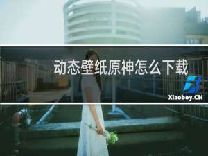动态壁纸原神怎么下载