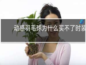 动感羽毛球为什么买不了时装