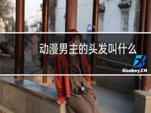 动漫男主的头发叫什么