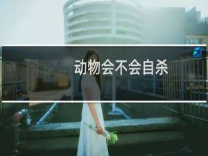 动物会不会自杀