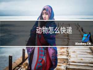 动物怎么快递