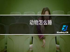 动物怎么睡