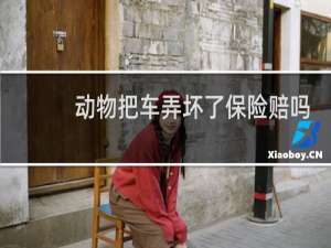 动物把车弄坏了保险赔吗