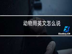 动物用英文怎么说