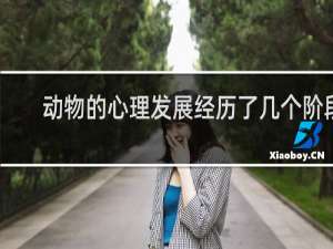 动物的心理发展经历了几个阶段