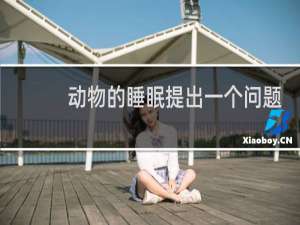 动物的睡眠提出一个问题