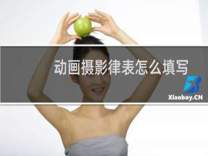 动画摄影律表怎么填写