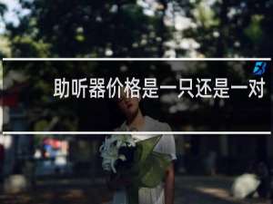 助听器价格是一只还是一对