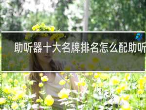 助听器十大名牌排名怎么配助听器