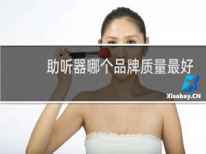 助听器哪个品牌质量最好