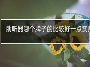 助听器哪个牌子的比较好一点实用的
