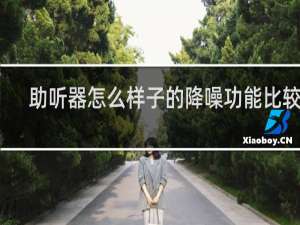 助听器怎么样子的降噪功能比较好