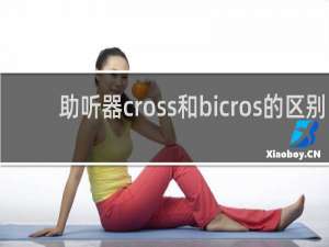 助听器cross和bicros的区别