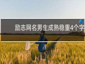 励志网名男生成熟稳重4个字