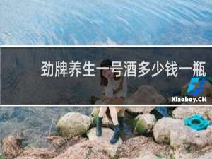 劲牌养生一号酒多少钱一瓶