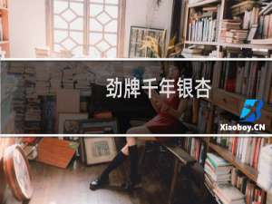 劲牌千年银杏