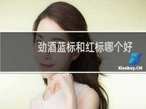 劲酒蓝标和红标哪个好