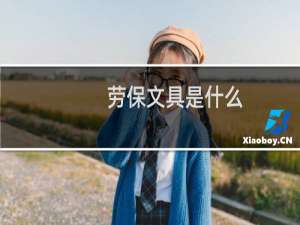 劳保文具是什么