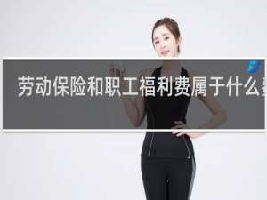 劳动保险和职工福利费属于什么费用