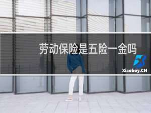 劳动保险是五险一金吗
