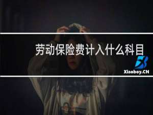 劳动保险费计入什么科目