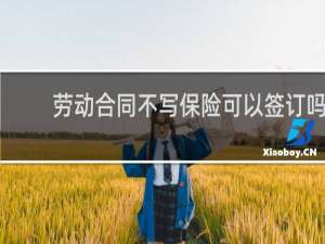 劳动合同不写保险可以签订吗