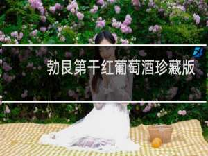 勃艮第干红葡萄酒珍藏版