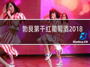 勃艮第干红葡萄酒2018