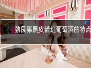 勃艮第黑皮诺红葡萄酒的特点