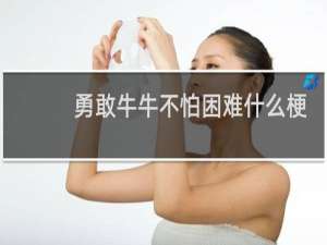 勇敢牛牛不怕困难什么梗