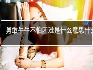 勇敢牛牛不怕困难是什么意思什么梗