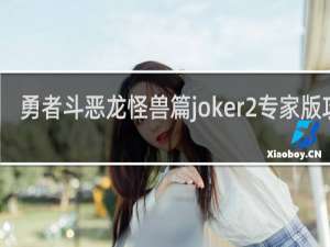 勇者斗恶龙怪兽篇joker2专家版攻略