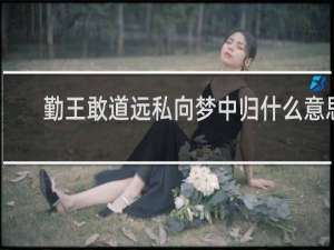 勤王敢道远私向梦中归什么意思