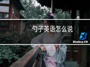 勺子英语怎么说