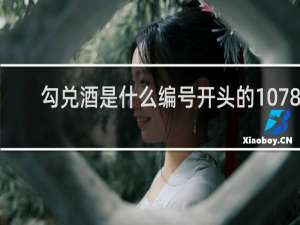 勾兑酒是什么编号开头的10781