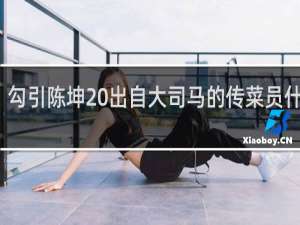 勾引陈坤 出自大司马的传菜员什么梗