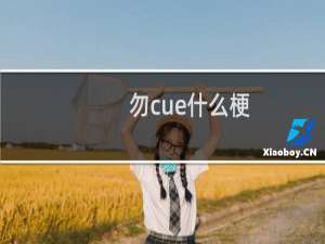 勿cue什么梗