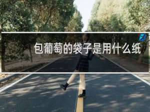 包葡萄的袋子是用什么纸