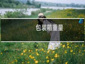 包装箱重量