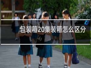 包装箱 集装箱怎么区分